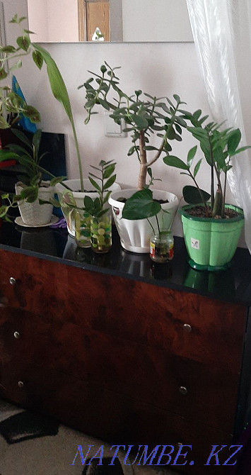 Мебель для дома 15000 Астана - изображение 2