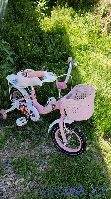 В идеальном состоянии! Тараз - изображение 4