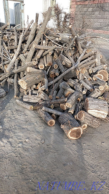 Дрова карагаш газ 53  - изображение 1