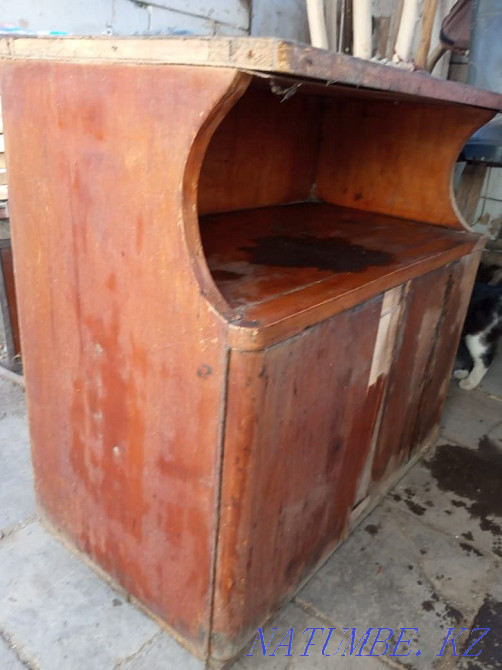 Curbstone rarity Almaty - photo 1