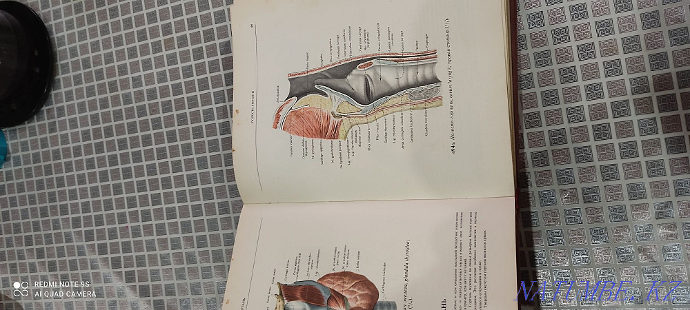 Адам анатомиясы атласы Синельников Р.Д.  Алматы - изображение 5