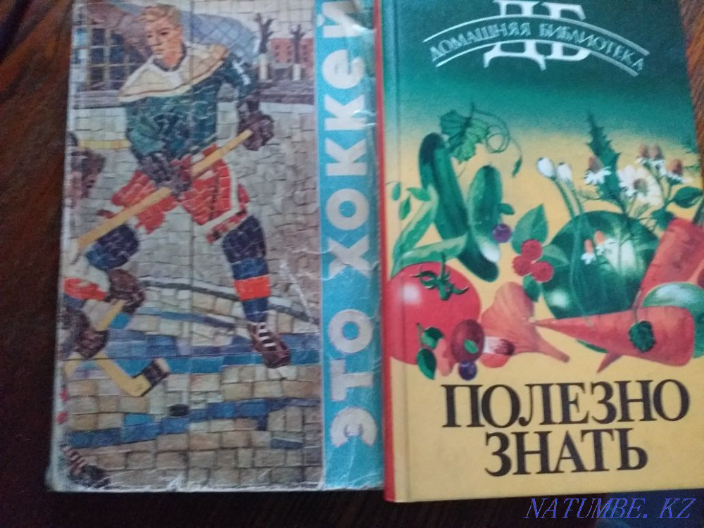 Сирек кездесетін кітаптар  отбасы  - изображение 1