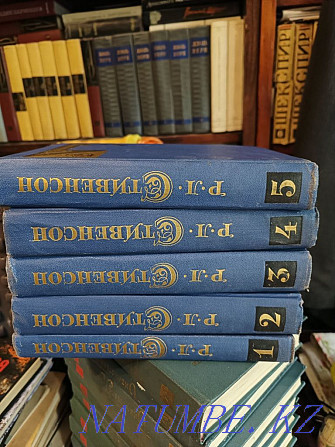 Кітапхана, әртүрлі жанрдағы 3000-нан астам кітап сатылады.  Алматы - изображение 2