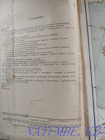 КСРО-дағы жүзім, жүзім шаруашылығы туралы кітап.  Алматы - изображение 3