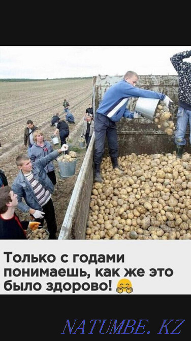 antiques Atyrau - photo 6