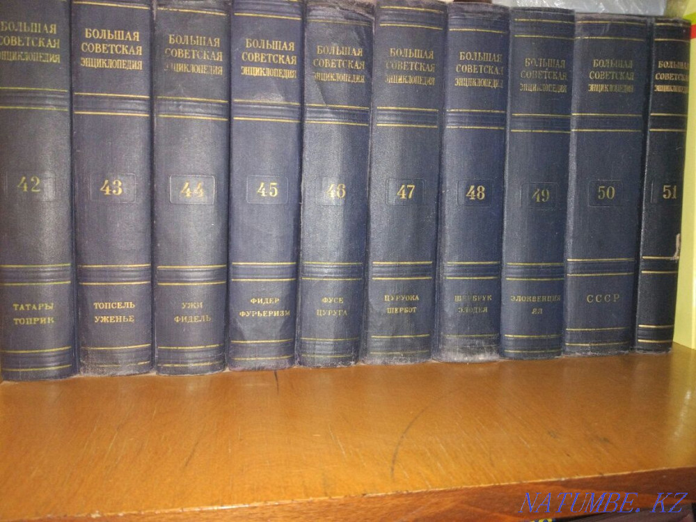 Большая Советская Энциклопедия Павлодар - изображение 5