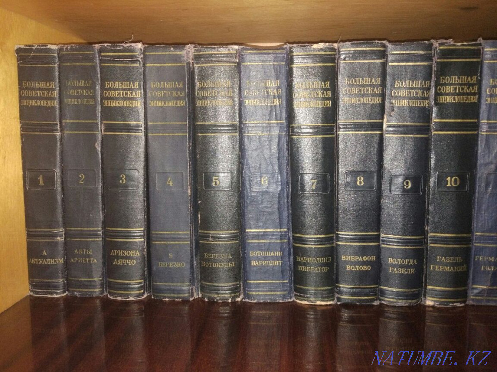 Большая Советская Энциклопедия Павлодар - изображение 1