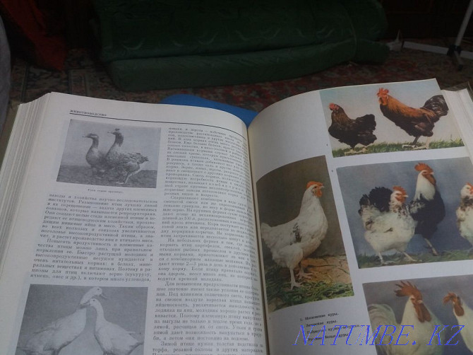 Soviet encyclopedias Shymkent - photo 2