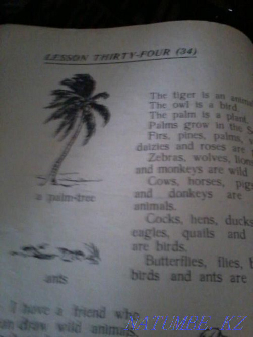 Rarity English for children - book 1963 Petropavlovsk - photo 1