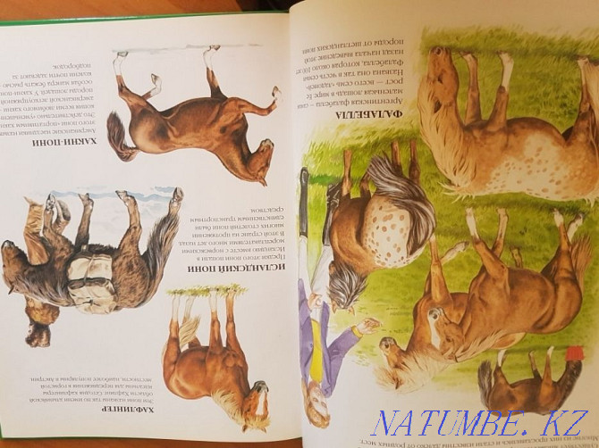 Продам книги Алматы - изображение 5