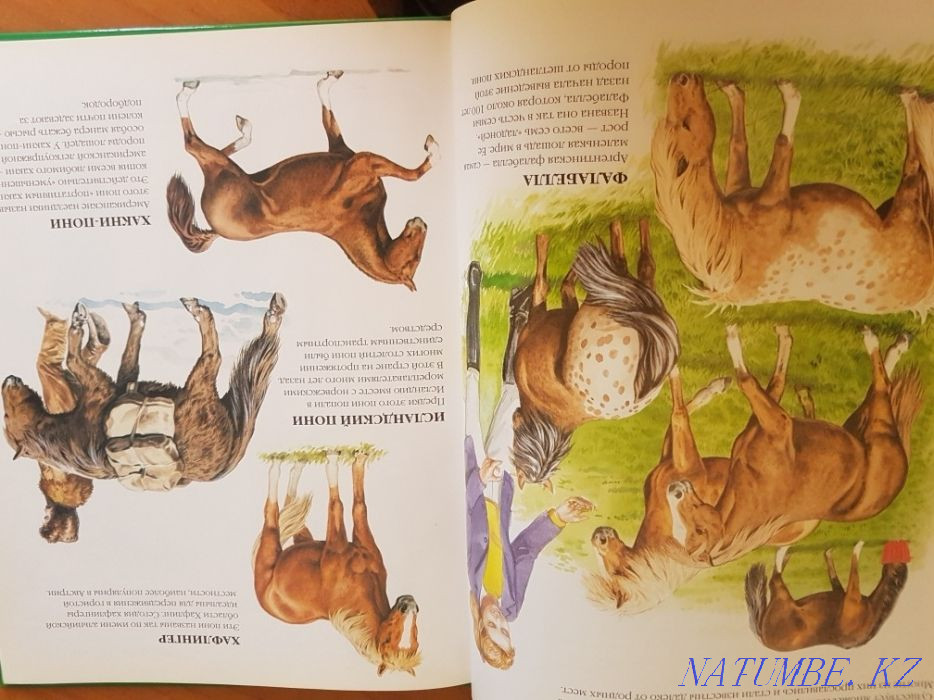 Кітаптар сату  Алматы - изображение 5