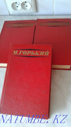 M. Gorky multi-volume book Almaty - photo 2