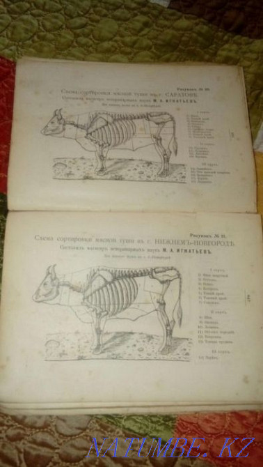 Книга 1914 года Гульдала - изображение 3