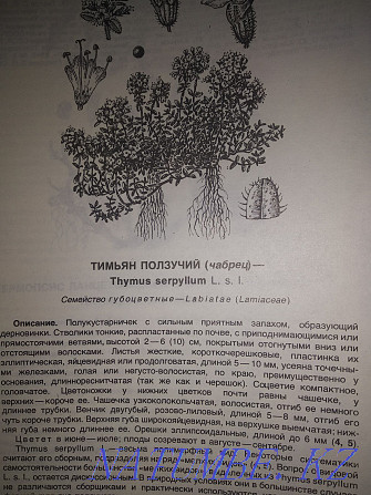 Atlas of habitats and resources of medicinal plants of the USSR. Almaty - photo 4