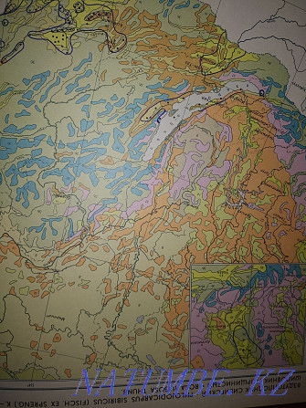 Atlas of habitats and resources of medicinal plants of the USSR. Almaty - photo 5