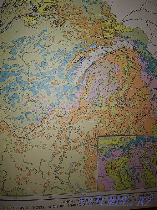 Atlas of habitats and resources of medicinal plants of the USSR. Almaty - photo 5