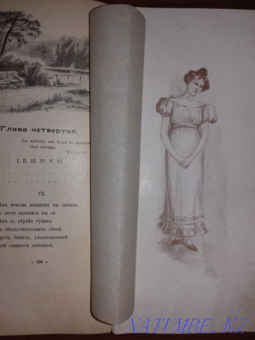 Антикварная книга 19 века. Пушкин А.С."Евгений Онегин". Алматы - изображение 6