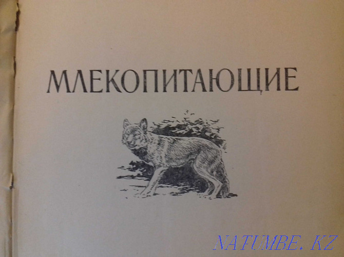 Animals and birds of our country. 1957 book Almaty - photo 3