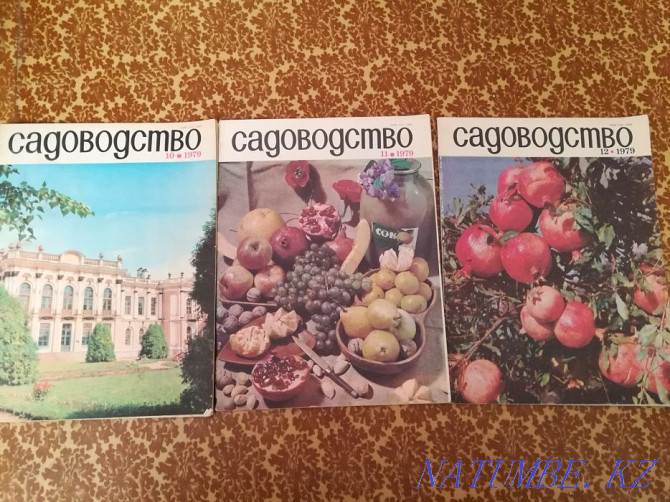 Журналы восьмидесятые Петропавловск - изображение 2
