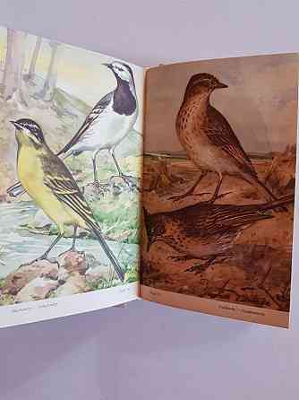 Книги о птицах и цветах на немецком и чешском языках Алматы