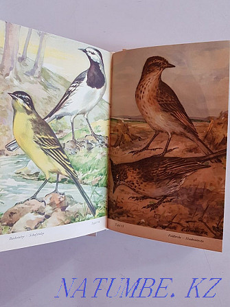 Books about birds and flowers in German and Czech Almaty - photo 6