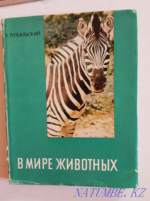 Книги альбомы фотографий животных и птиц В.Пухальского и гор Татры Алматы - изображение 2