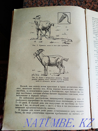 "Домоводство" 1959г издания Алматы - изображение 8