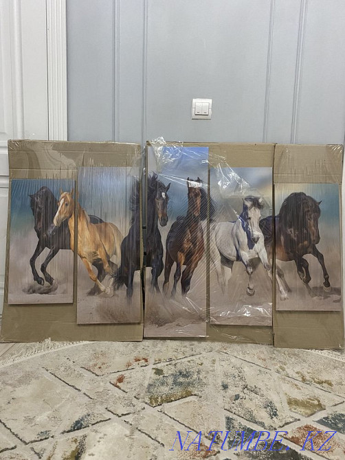 Packaging Details New zamanaui picture Kyzylorda - photo 2