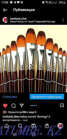 Bomega brushes in assortment Almaty - photo 2