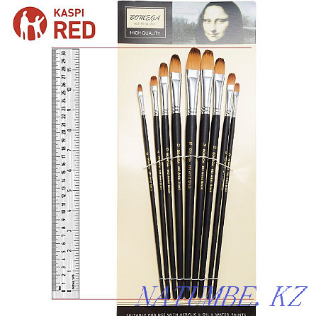 Bomega brushes in assortment Almaty - photo 1