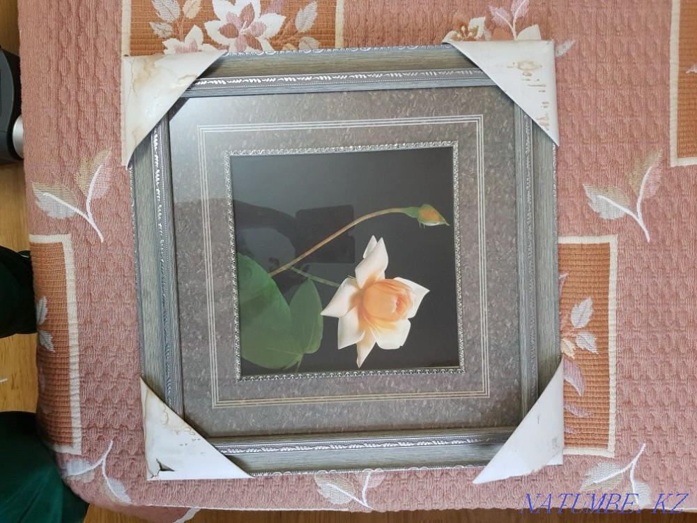 Картина настеная Алматы - изображение 1