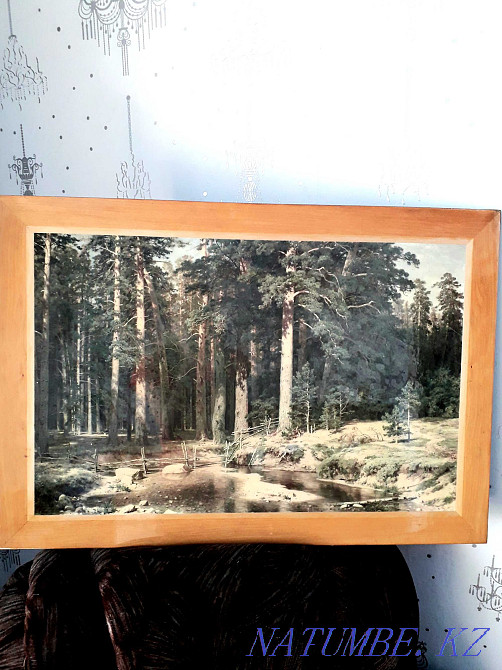 Picture Russian forest Semey - photo 1