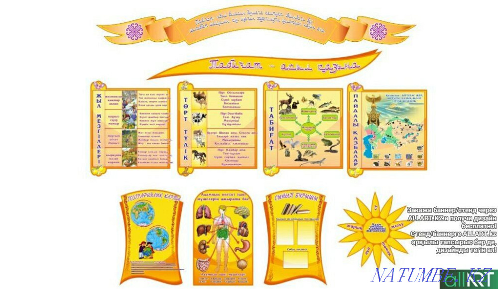 Stands for kindergarten and schools Oral - photo 6