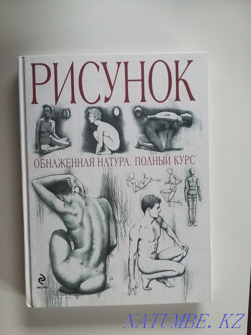 Рисунок. Чиварди Жанатурмыс - изображение 1