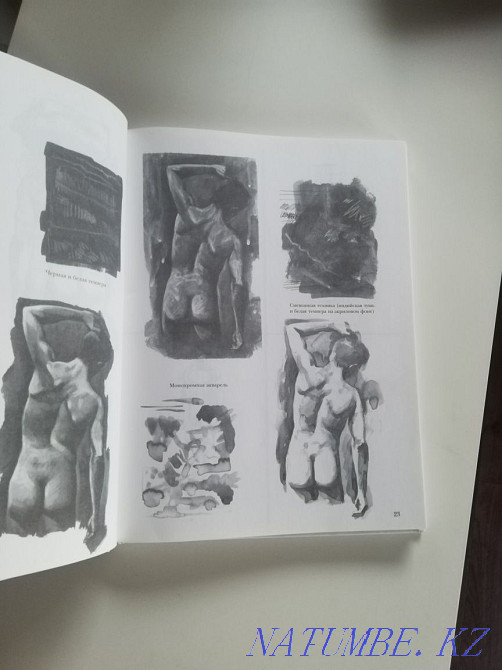 Рисунок. Чиварди Жанатурмыс - изображение 2