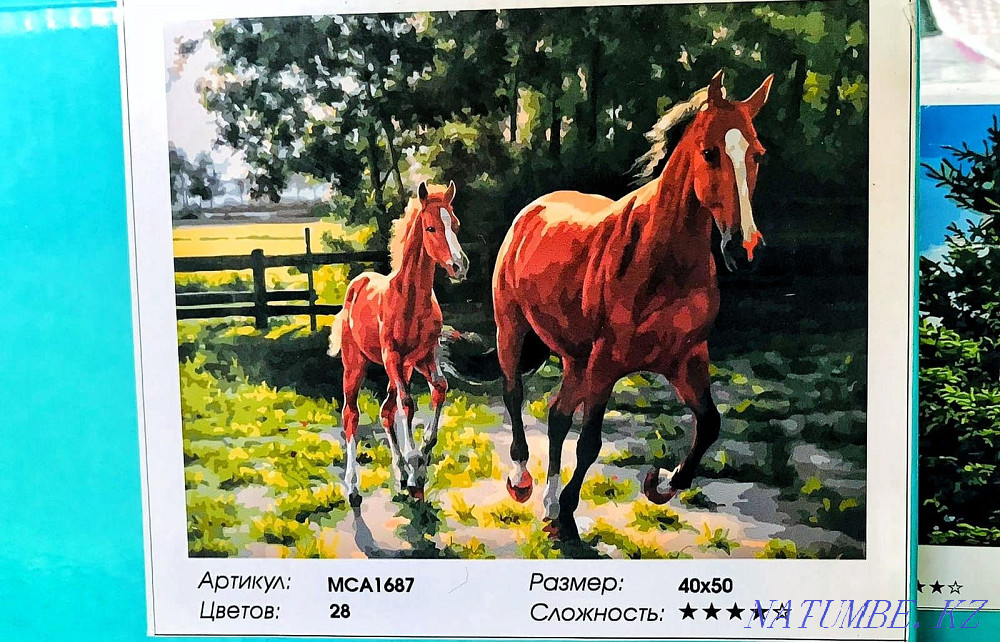 Painting by numbers, drawing, diamond mosaic. Shymkent - photo 4