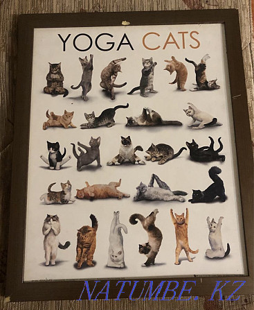 Yoga cats painting for home decor Almaty - photo 1