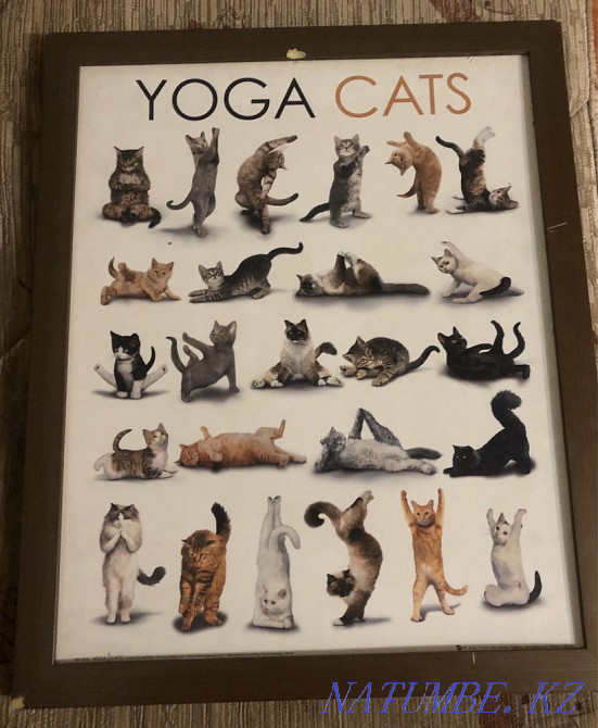 Картина Yoga cats для декора дома Алматы - изображение 1