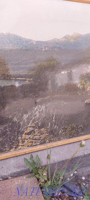 Картина Бурабай боровое окжетпес Астана - изображение 3