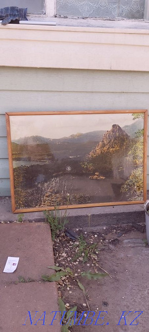 Картина Бурабай боровое окжетпес Астана - изображение 1