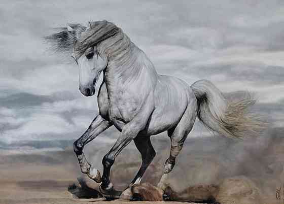 Картина маслом "Белая лошадь" Almaty