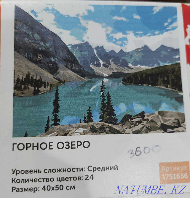 Картины по номерам 40*50 см Тараз - изображение 2