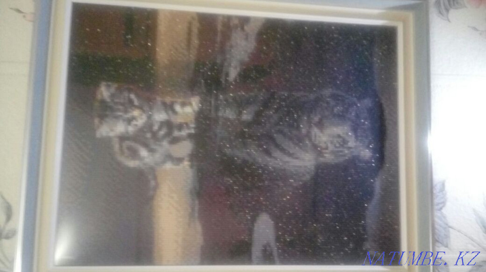 Суреттер Жолбарыс және табиғат  Алматы - изображение 6