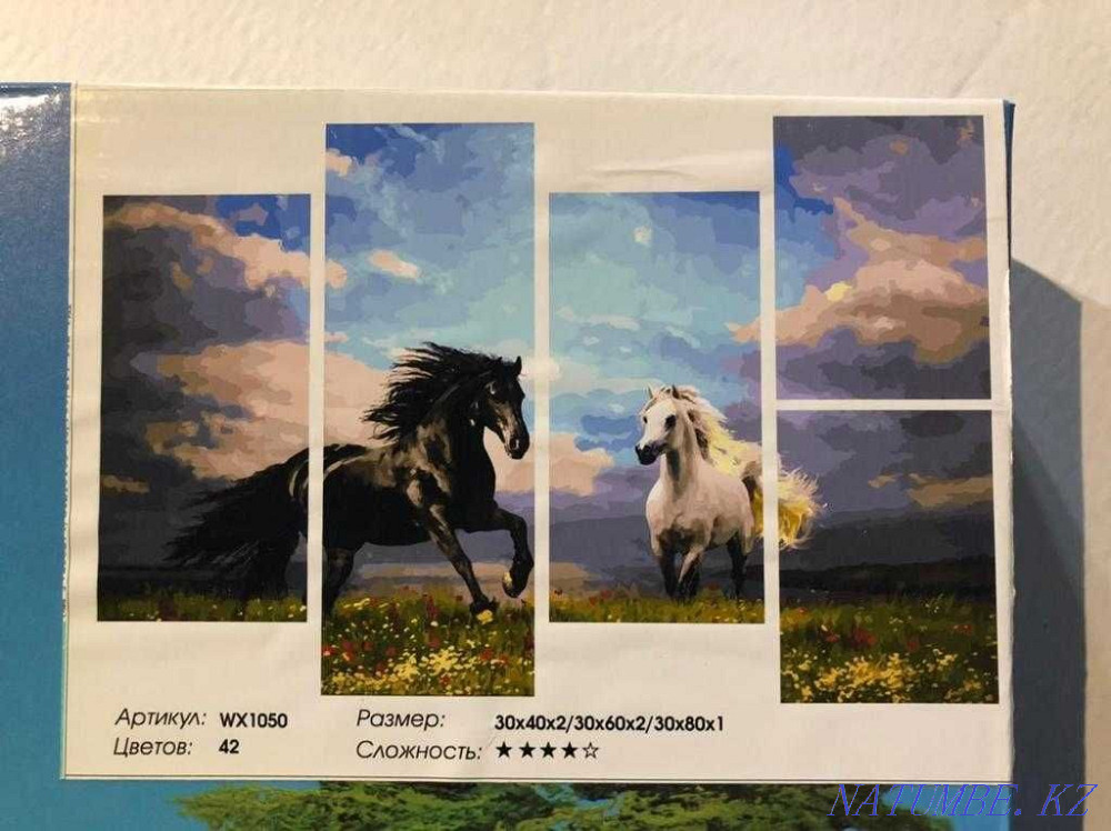 Рисование по номерам Алматы - изображение 4