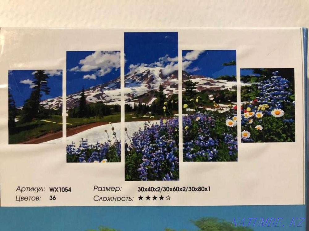 Рисование по номерам Алматы - изображение 2