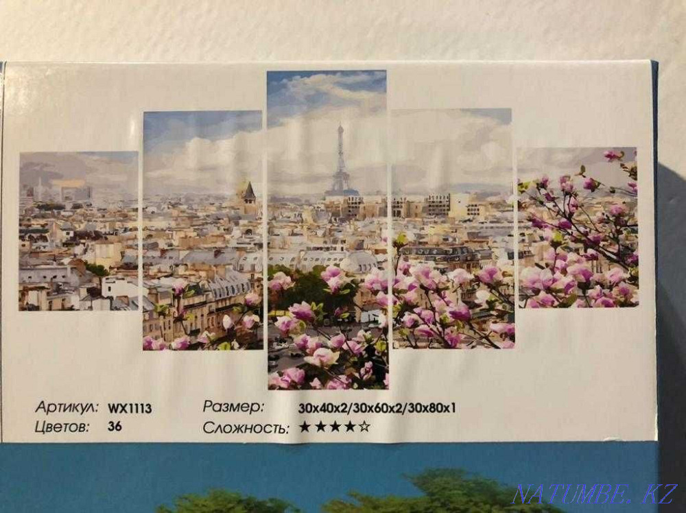 Рисование по номерам Алматы - изображение 1