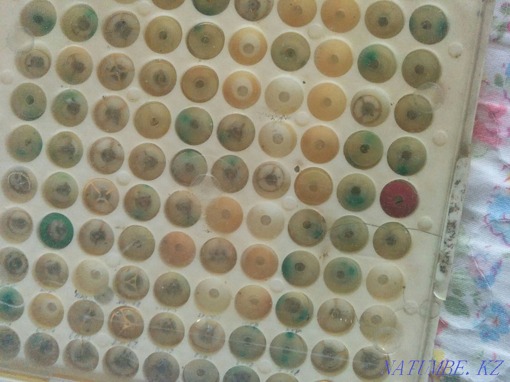 Balancer for wristwatches Soviet original price per unit. Almaty - photo 7