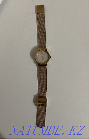 腕表 Skagen 358SGGD Астана - photo 4