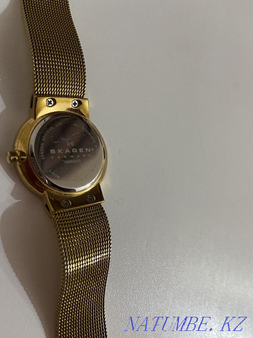 Наручные часы Skagen 358SGGD Астана - изображение 3