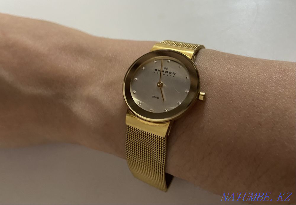 Наручные часы Skagen 358SGGD Астана - изображение 1